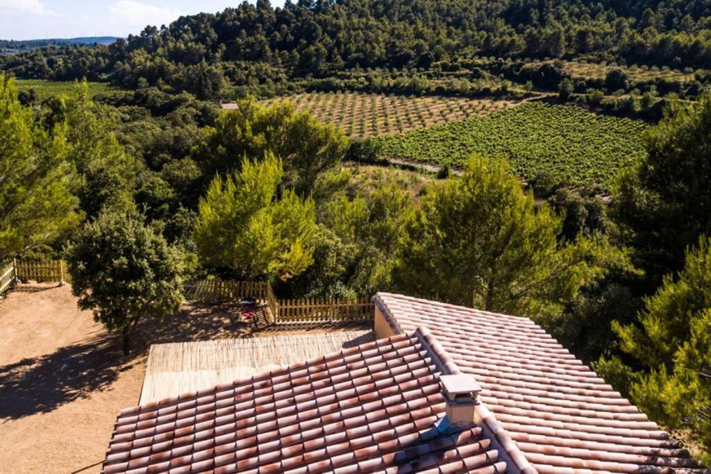 Вилла L'Arbre A Soleil Aigues-Vives  Экстерьер фото