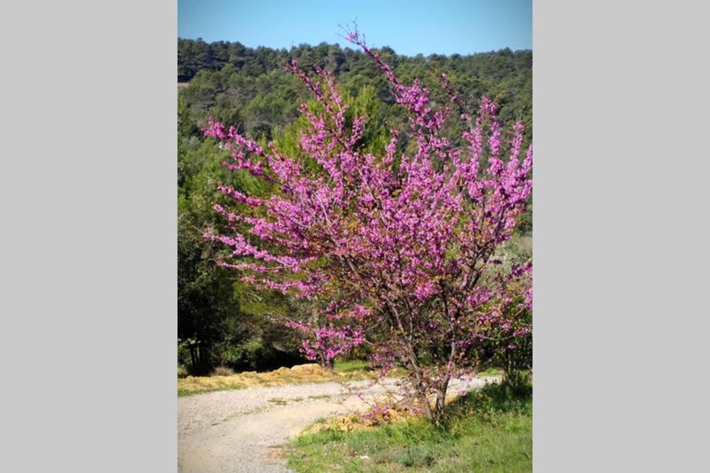 Вилла L'Arbre A Soleil Aigues-Vives  Экстерьер фото
