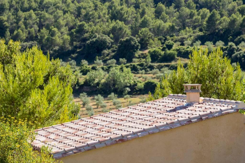 Вилла L'Arbre A Soleil Aigues-Vives  Экстерьер фото
