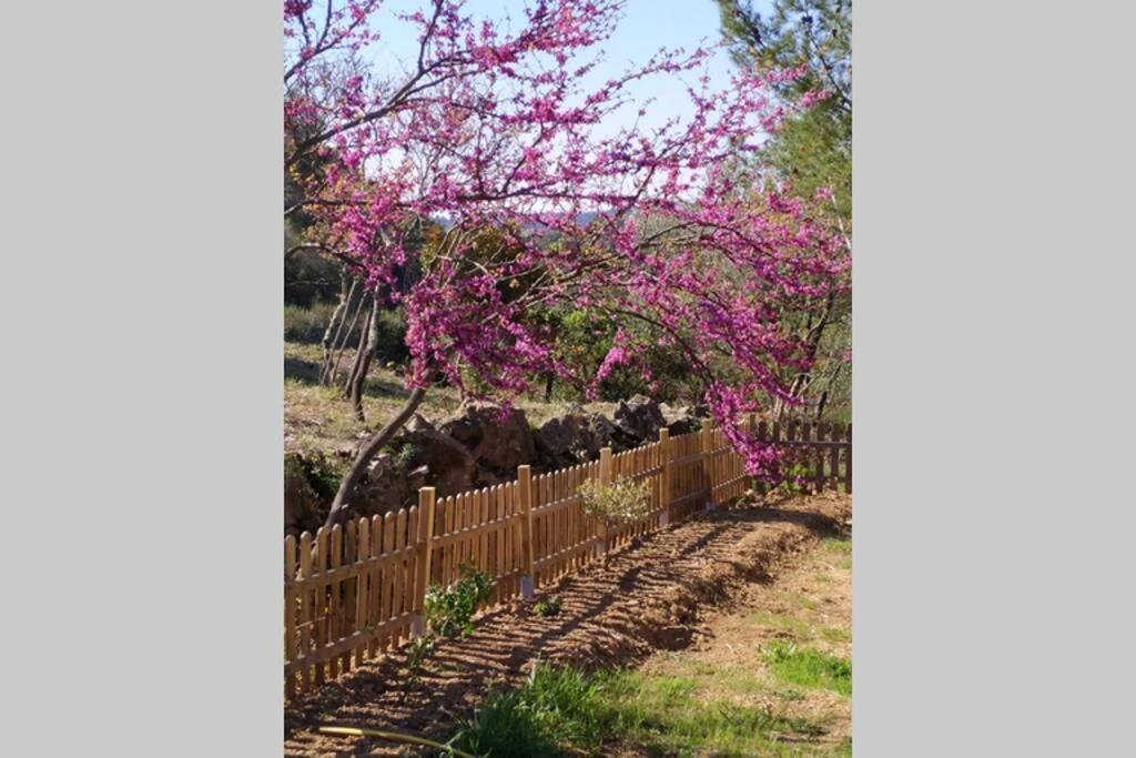 Вилла L'Arbre A Soleil Aigues-Vives  Экстерьер фото