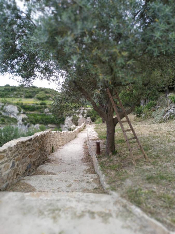 Вилла L'Arbre A Soleil Aigues-Vives  Экстерьер фото